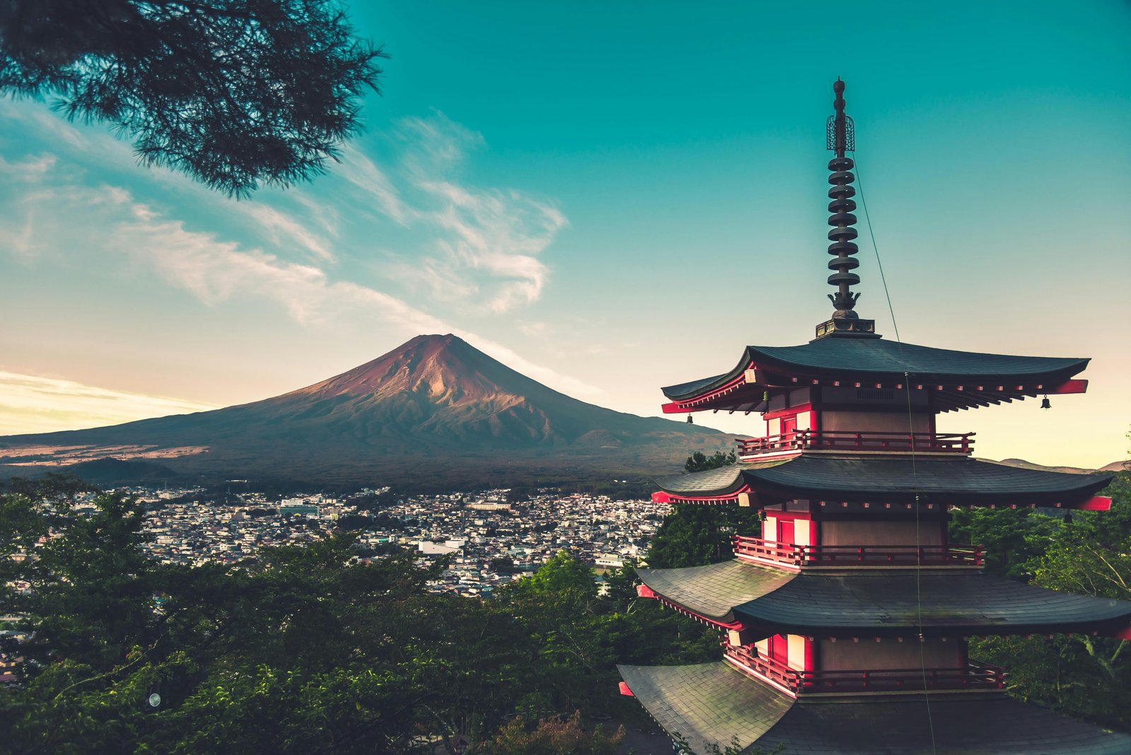 Nippon Edge students on their path to studying in Japan